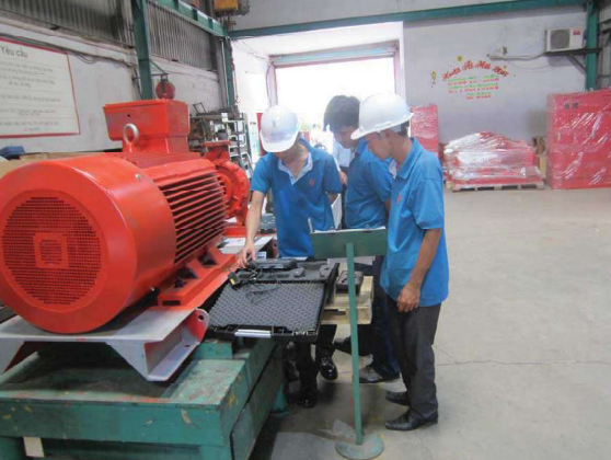Hình ảnh công ty Đại Phong